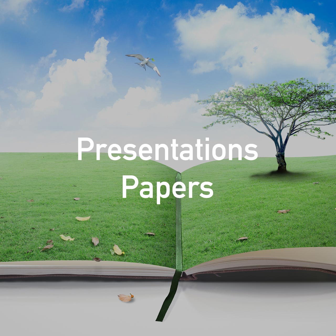 presentations-papers-inside-pages-25percent-dark